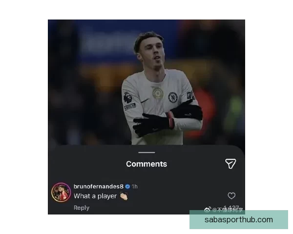 B费推荐接班人降级也卖6000万比帕尔默便宜分析